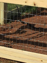 first visitor to the garden