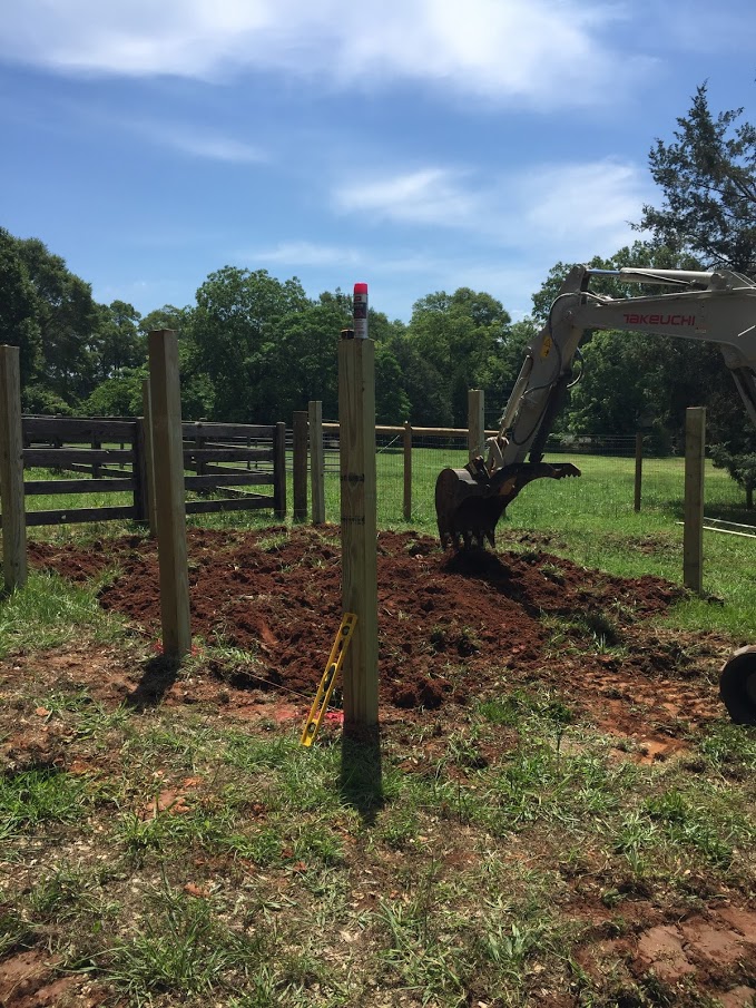 while you are there could you till it up for me