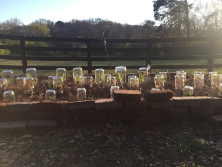 2018-03-08_17-41-26_187