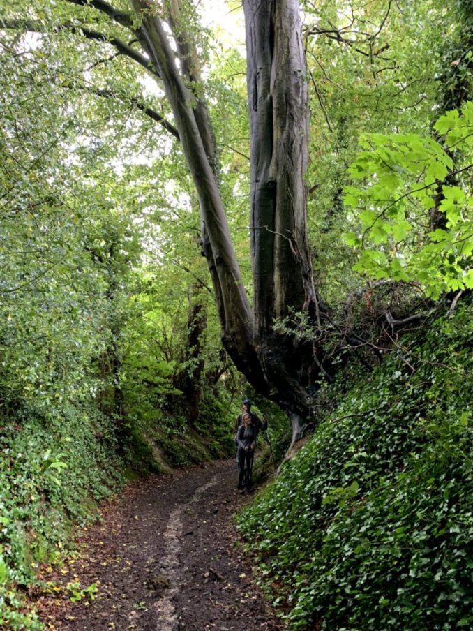 6- Frank and Ivy under tree